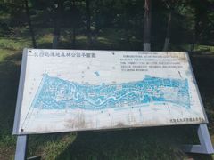 -长白岛森林公园