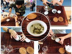 -贝乐多幼儿园(中北校区)