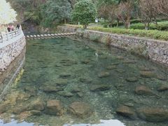 -宁波五龙潭景区