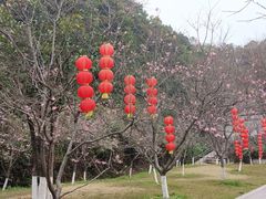 -广州市帽峰山景区