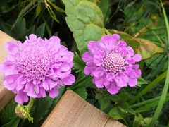 -白草畔自然风景区