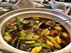 -高坎一品甲鱼庄(两河店)