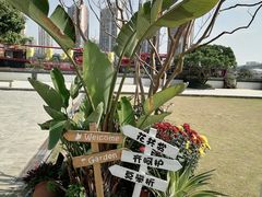 -粥旺庄(芳村店)