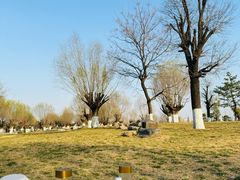 -汉长安城未央宫国家考古遗址公园