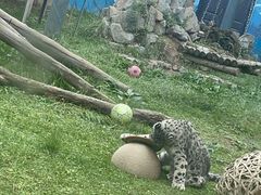 -青藏高原野生动物园