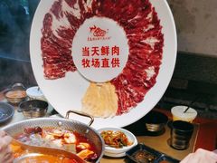 -手选潮汕鲜牛肉火锅(二七广场店)