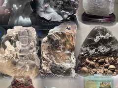 -安徽省地质博物馆