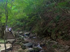 -本溪汤沟绿石谷森林公园