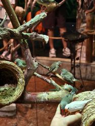 -Zoolung Zoolung动物主题公园(海信广场店)