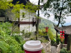 -韬光茶庵