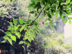 -溪口-滕头旅游景区