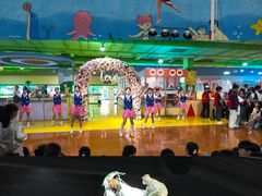 -汕头蓝水星欢乐世界
