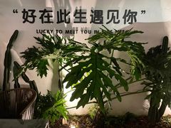 -云里小坐·小院里·团建·宴请·下午茶(三圣乡店)