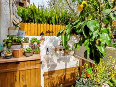 -十面欢腾(长乐路店)