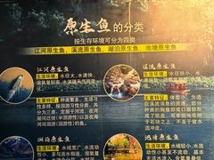 -合肥海洋世界
