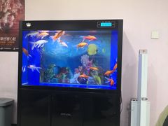 -北京市中关村医院