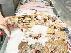 -渔娘渔家丹东海鲜(东直门店)