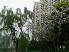 -西北湖绿化广场