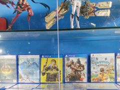 -浣熊部落ps4 ps5 switch 电玩(茶店子店)