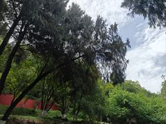 -富乐山