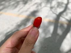 -嘉峪关关城