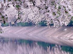 -海棠花溪(元大都城垣遗址公园)