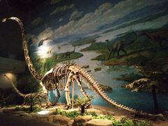 -自贡恐龙博物馆