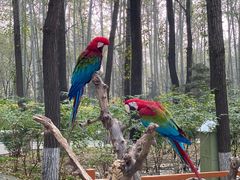 -北京野生动物园