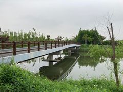 -广富林郊野公园