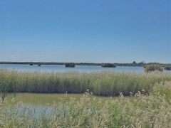 -亿利库布其七星湖沙漠生态旅游区