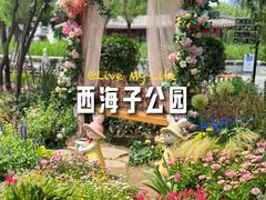 -西海子公园
