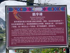 -靖西鹅泉风景区