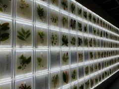-广东中医药博物馆