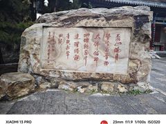 -蒙山大佛景区