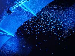 -横店影视城梦幻谷园区