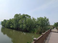 -长兴太湖图影湿地文化园