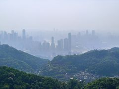 -大金鹰园