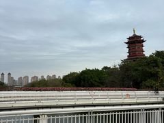 -厦门园林博览苑