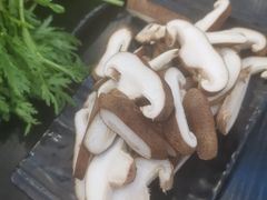 -鼎宏干锅牛肉(富城时代店)