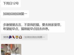 -达爱动物医院·犬猫分区·CT·复杂眼科(远洋山水分院)