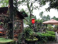 -青城甲(青城山店)