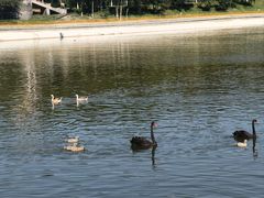 -水上乐园·欢乐世界