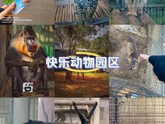 -昆明动物园