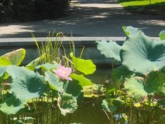 -上海滨江森林公园