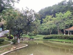 -火炉山森林公园