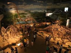 -自贡恐龙博物馆