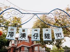 -猫咪博物馆(顶澳仔猫街店)