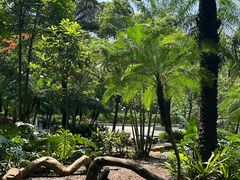 -深圳龙潭公园