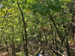 -吉林市朱雀山国家森林公园