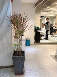 点击看大图 -PE SALON